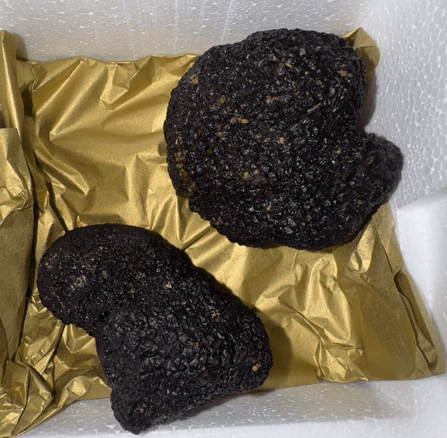 Offre découverte — Édition découverte