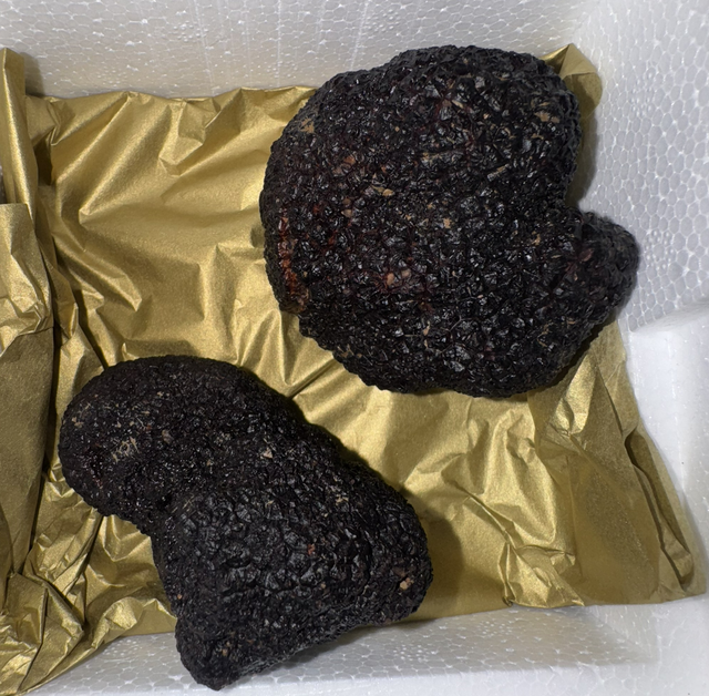 Offre découverte — Édition découverte