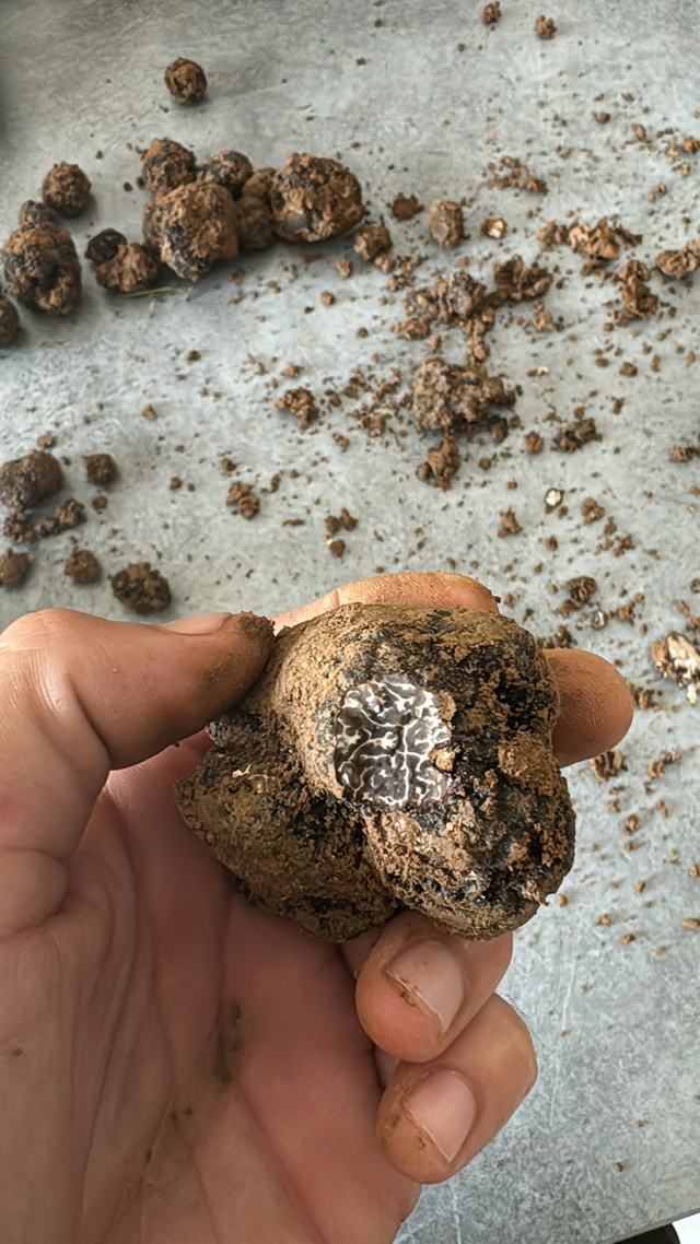 Truffe Noire — 200g