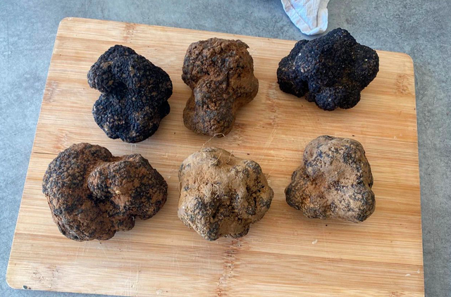 Truffe Noire — 500g